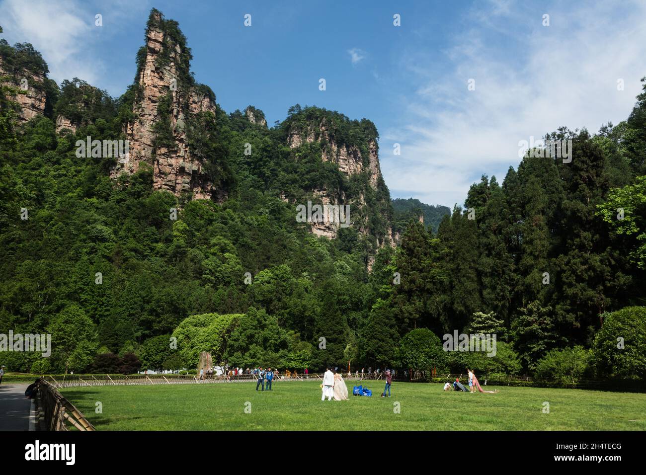 Un jeune couple pose pour des photos de mariage dans un champ ouvert dans le parc forestier national de Zhangjiajie, en Chine. Banque D'Images