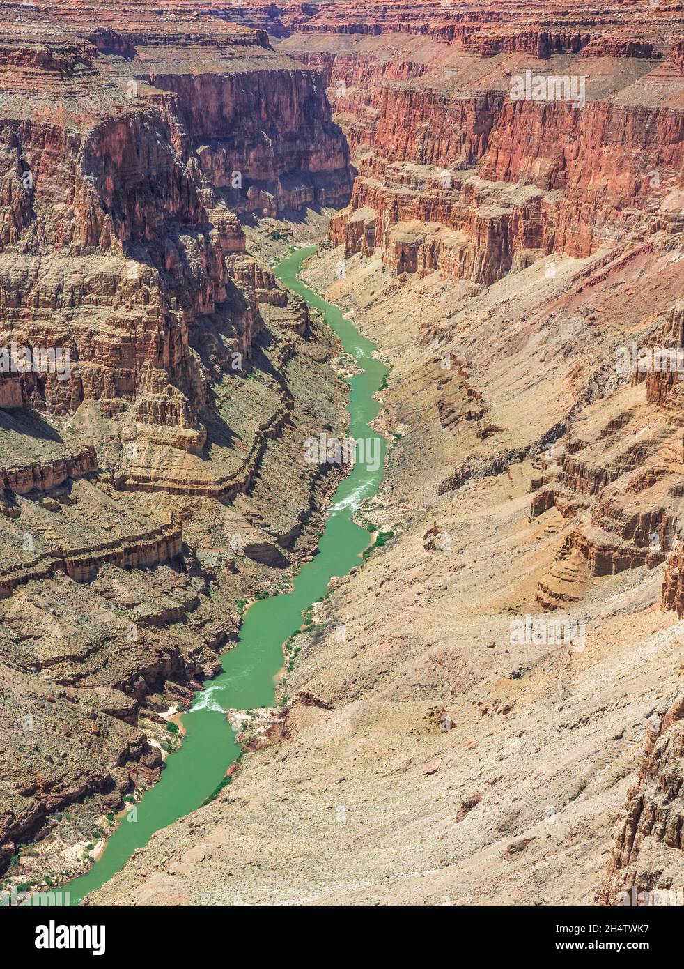 Dans le fleuve Colorado rapids en y domaine de grand canyon national park, arizona Banque D'Images