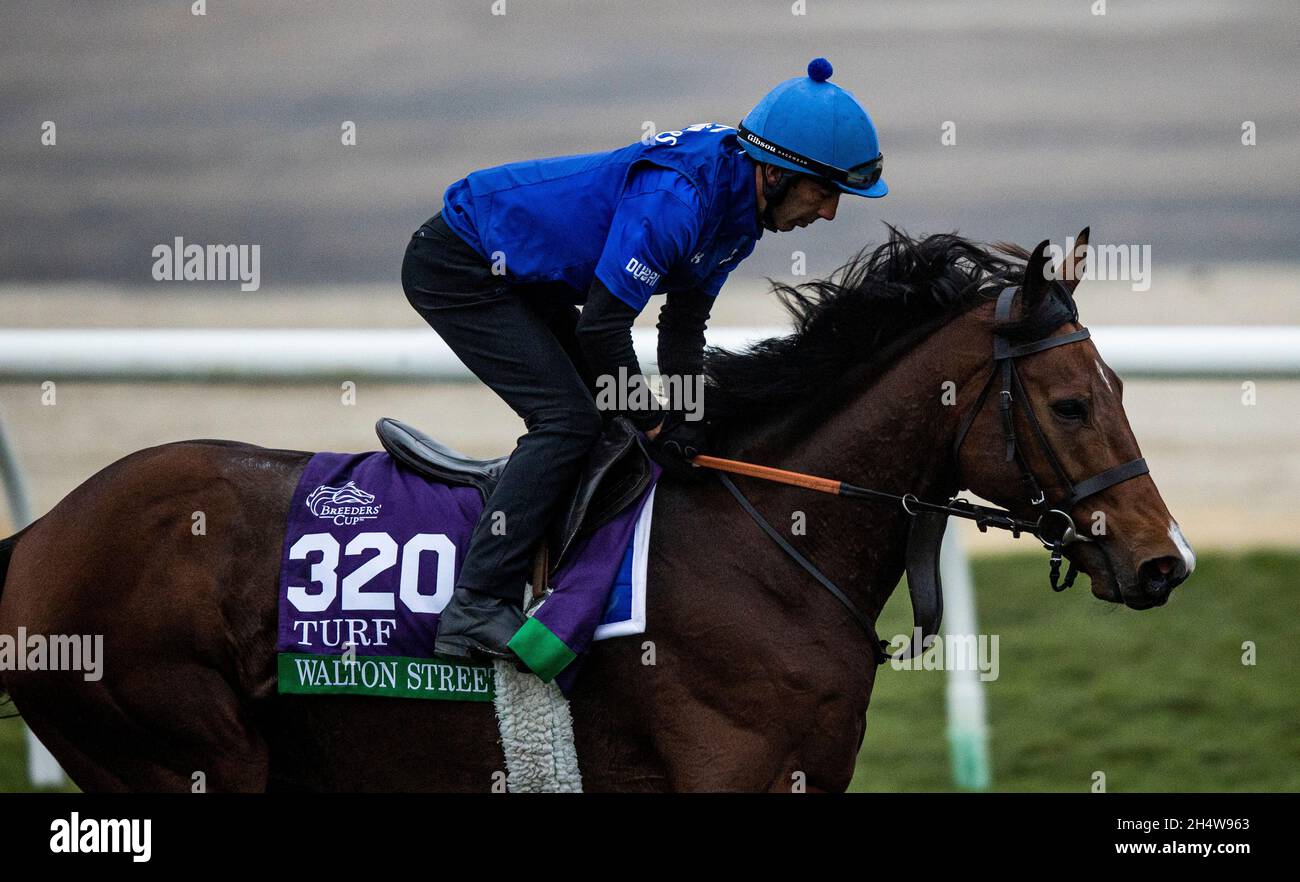 Del Mar, CA, États-Unis.4 novembre 2021.04 novembre 2021: Walton Street, est entré dans la coupe des éleveurs de Longines et formé par Charlie Appleby, au Del Mar Thoroughbred Club à Del Mar, Californie, le 04 novembre 2021.Evers/Eclipse Sportswire/Breeders' Cup/CSM/CSM/CSM/Alamy Live News Banque D'Images