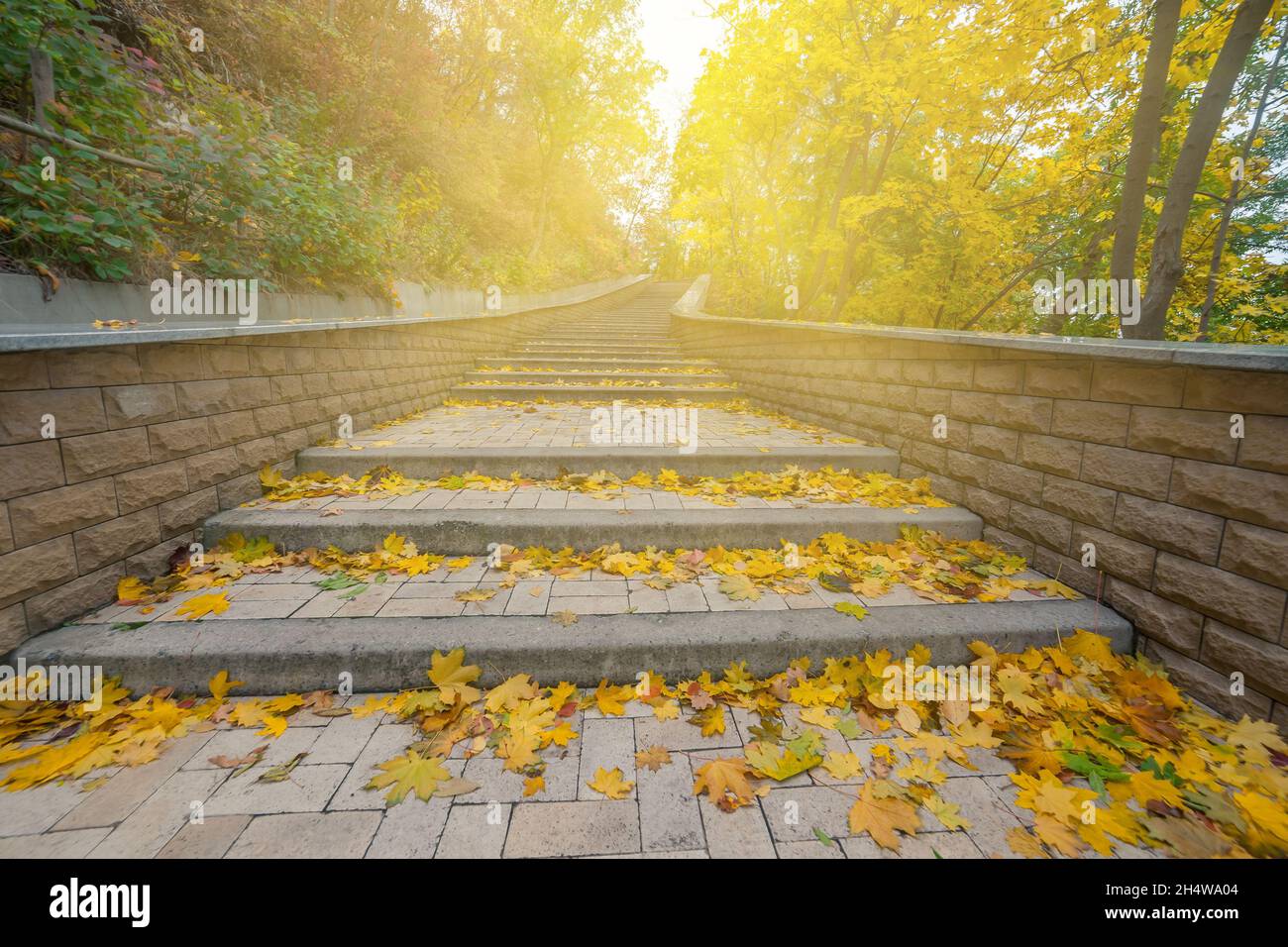 Paysage avec belle automne dans le parc, escalier avec feuillage Banque D'Images