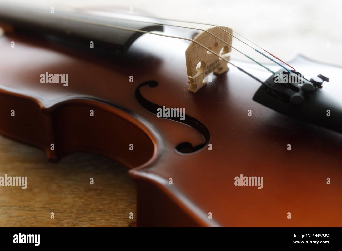 Détail plein cadre du violon de l’enfant, axé sur le pont, le trou et les cordes Banque D'Images