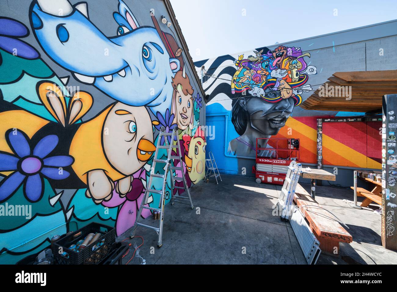 Œuvres d'art murales dans le quartier d'art de Rino à Denver, Colorado, États-Unis Banque D'Images