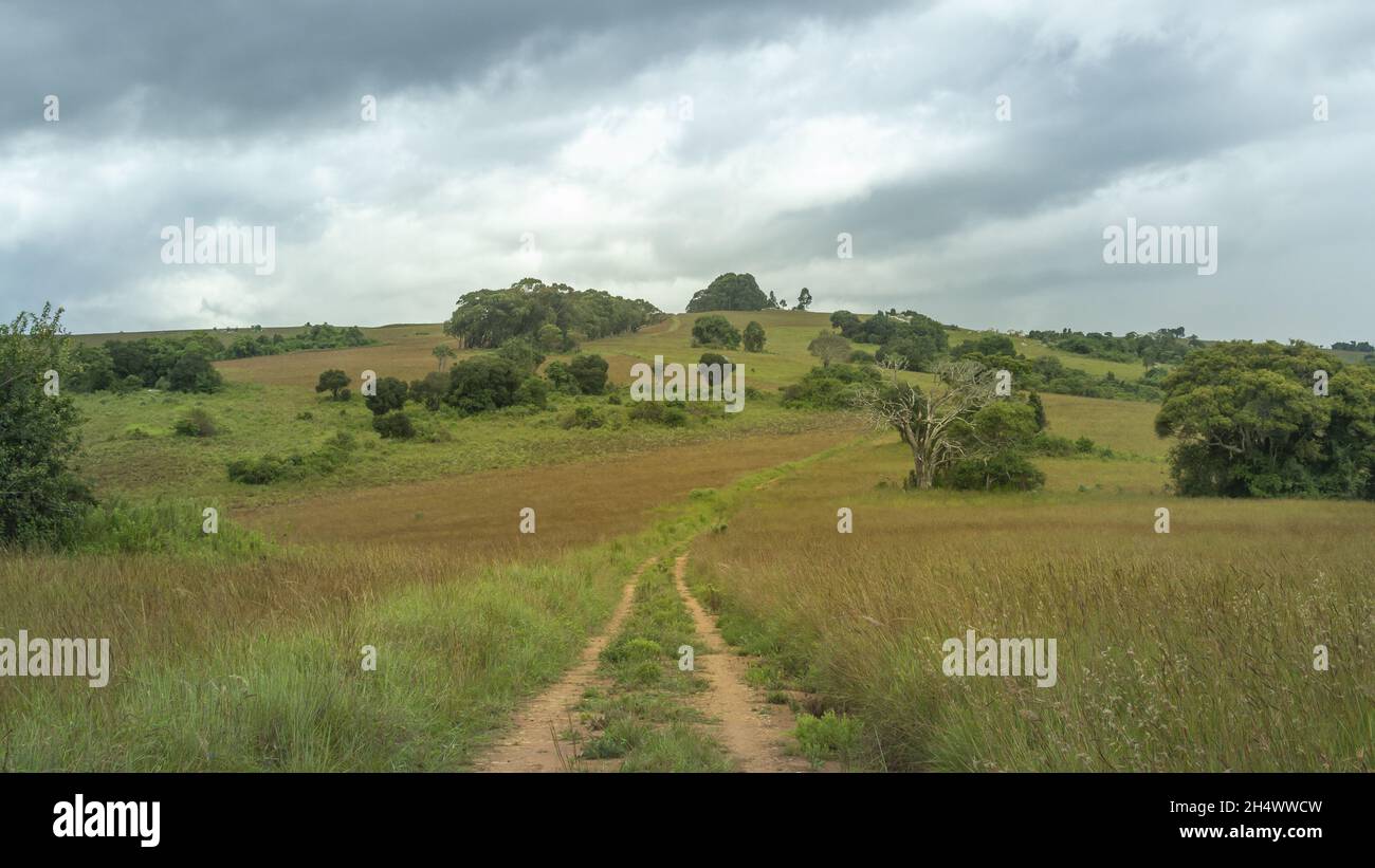 Piste de terre tout-terrain 4x4 dans le parc national de Nyika au Malawi, en Afrique Banque D'Images