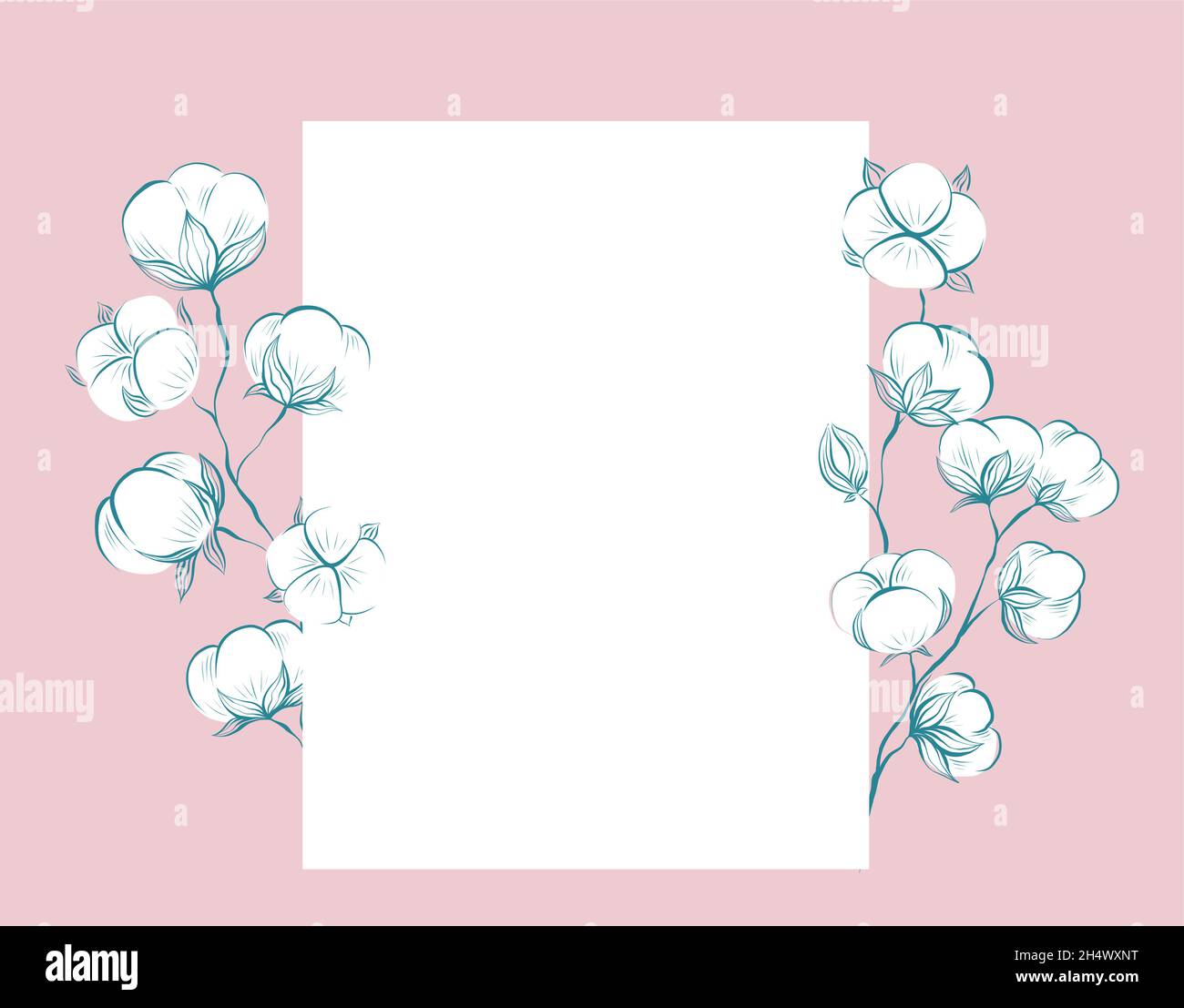 Carte délicate carrée avec croquis de coton et tiges, espace de copie sur fond rose.Modèle à base de plantes vectorielles douces avec tiges, molletonné Illustration de Vecteur