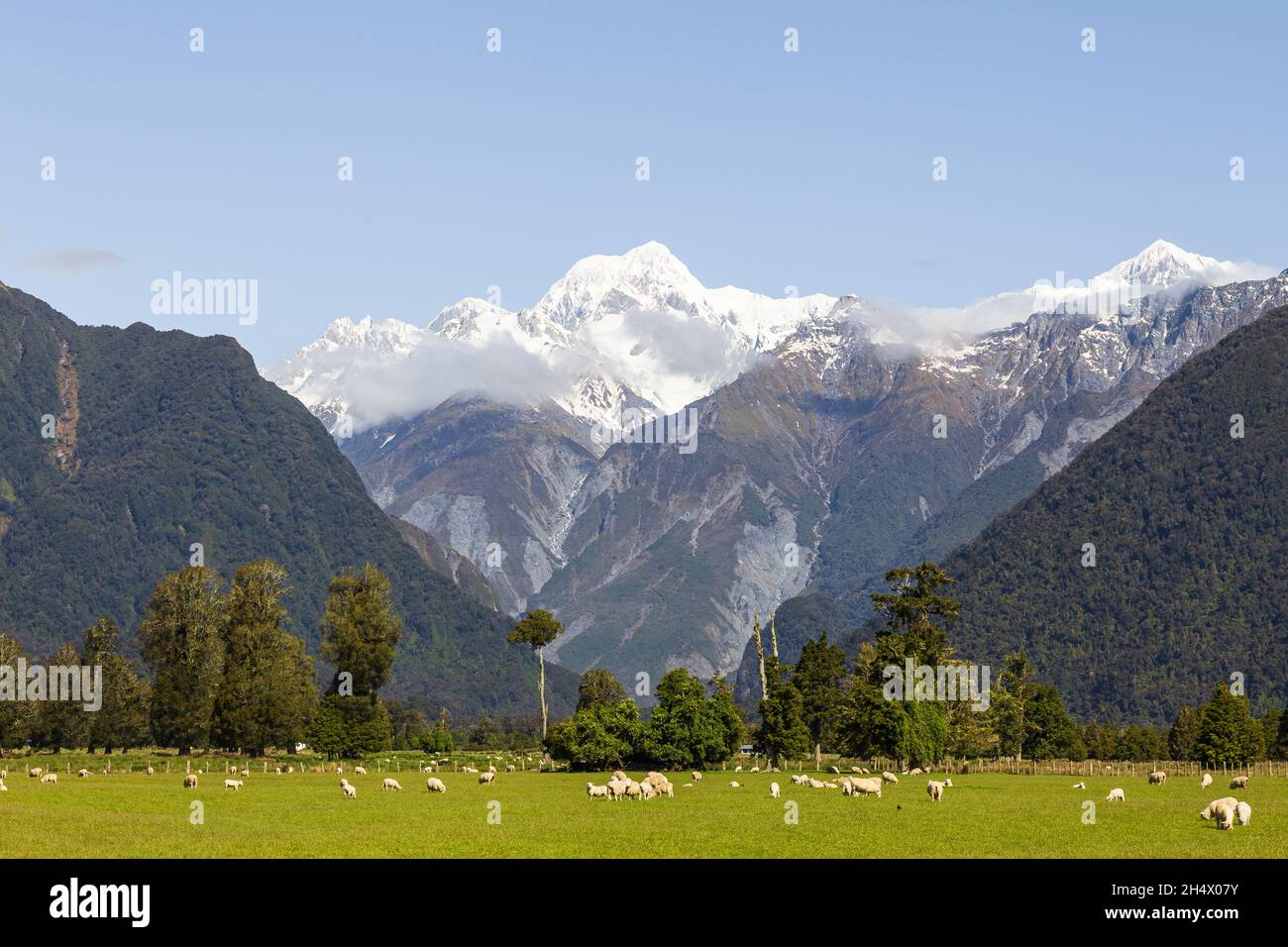 Mont Cook, Mont Tasman.Île du Sud, Nouvelle-Zélande Banque D'Images