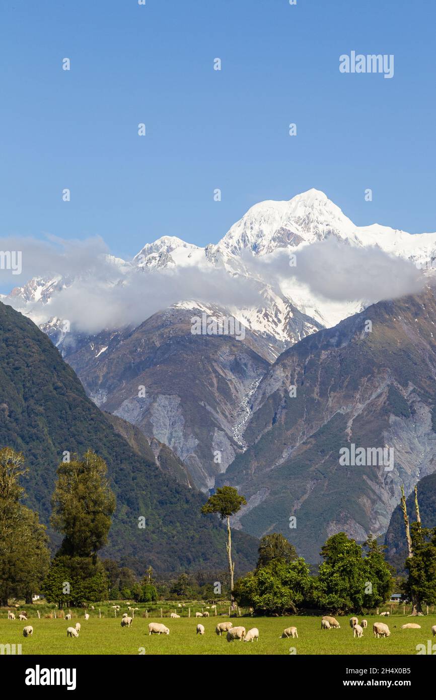 Paysages des Alpes du Sud.Mont Cook.Île du Sud, Nouvelle-Zélande Banque D'Images