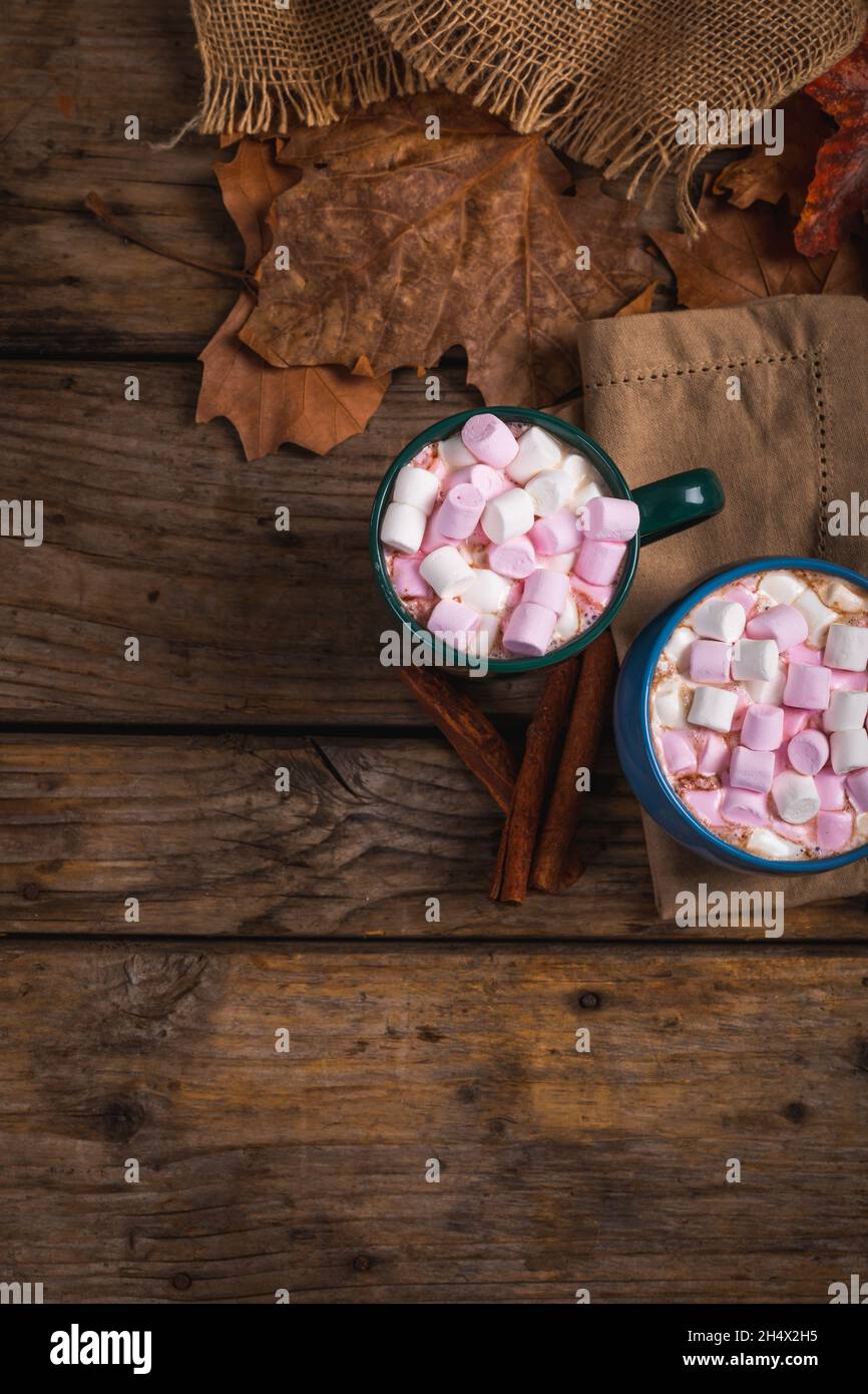 Boisson chaude au chocolat remplie de guimauves en mugs à la cannelle, feuilles d'automne avec espace de copie Banque D'Images