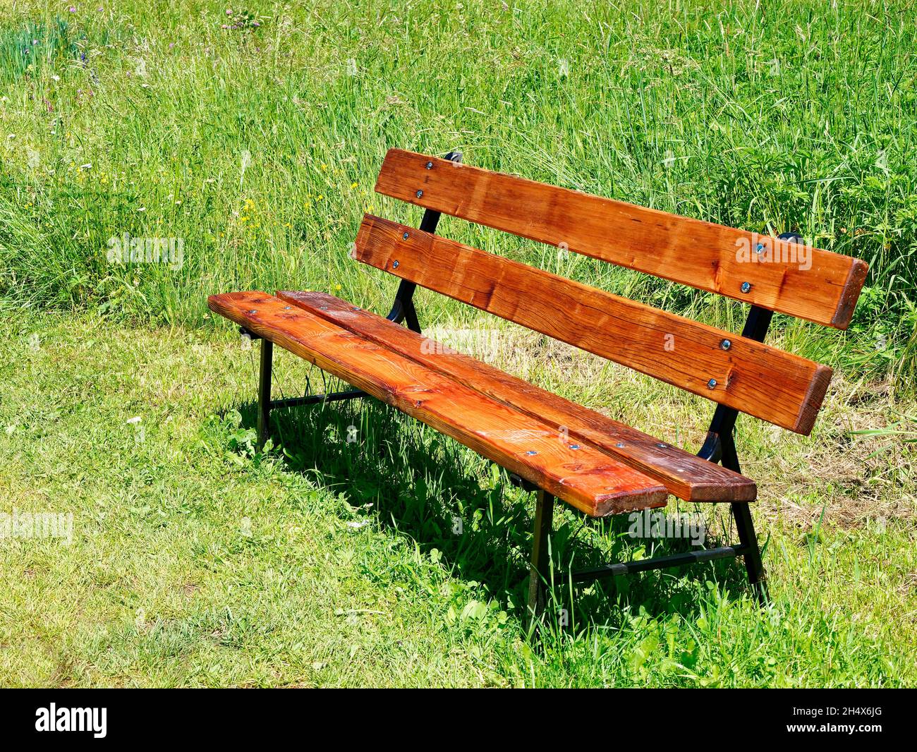 banc en bois vacant dans le parc en été Banque D'Images