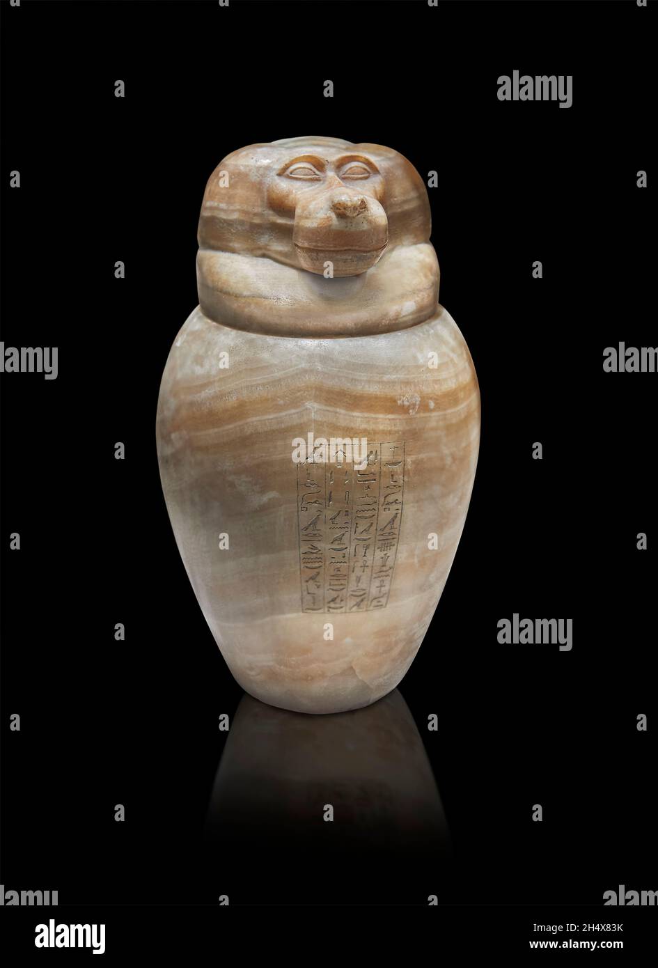 Ancien pot canopé égyptien représentant le babouin hapi, vers 525 av. J.-C., fin de la 26e dynastie, Alabastre Musée du Louvre N 2969 ou CC88.Tête de singe hapi Banque D'Images
