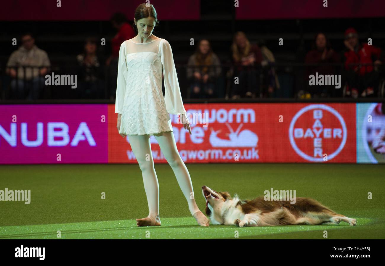 Heelwork à la compétition musicale le deuxième jour du spectacle de chiens Crufts au NEC le 11 2016 mars à Birmingham, au Royaume-Uni. Banque D'Images