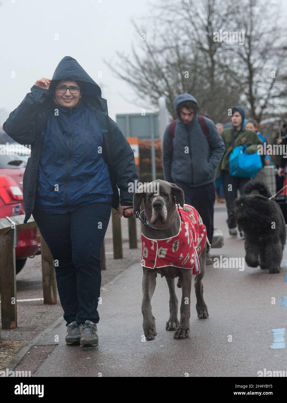 Les chiens et leurs propriétaires arrivent le premier jour au spectacle de chiens Crufts au NEC à Birmingham, Royaume-Uni.Date de la photo: Jeudi 08 mars 2018.Crédit photo : Katja Ogrin/ EMPICS Entertainment. Banque D'Images