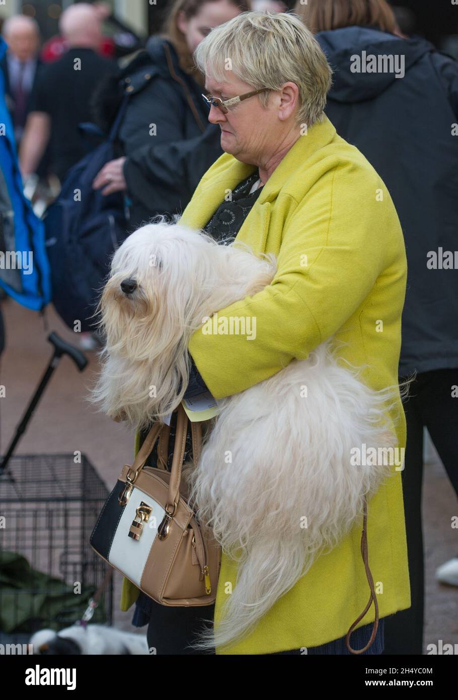 Les chiens et leurs propriétaires arrivent le jour 3 au salon des chiens Crufts au NEC à Birmingham, au Royaume-Uni.Date de la photo: Samedi 10 mars 2018.Crédit photo : Katja Ogrin/ EMPICS Entertainment. Banque D'Images