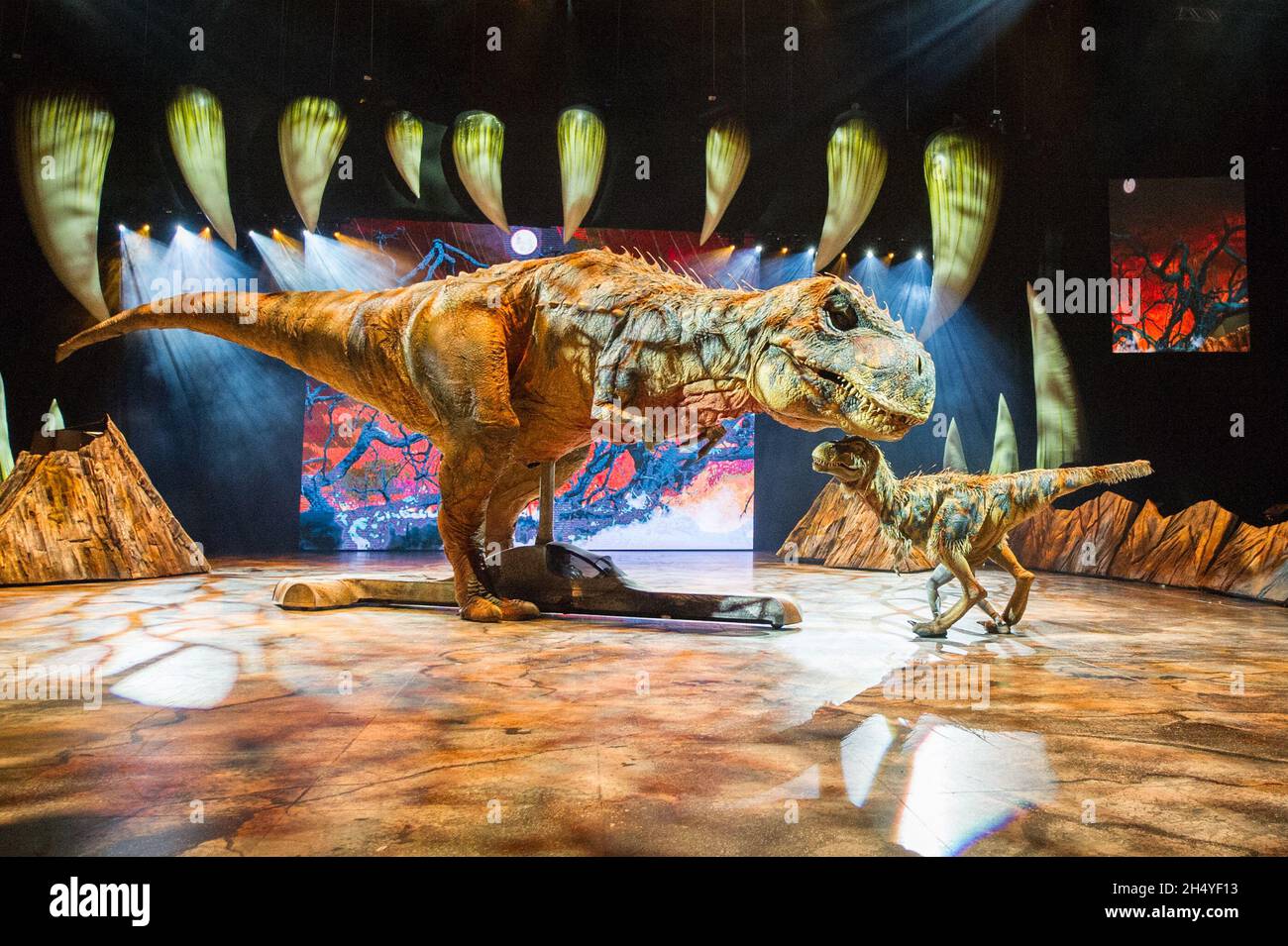 T-Rex et bébé T-Rex posant pendant la photocall pour marcher avec les dinosaures – l'Arena spectaculaire à l'Arena Birmingham le 26 juillet 2018 à Birmingham, en Angleterre.Date de la photo: Jeudi 26 juillet 2018.Crédit photo : Katja Ogrin/ EMPICS Entertainment. Banque D'Images