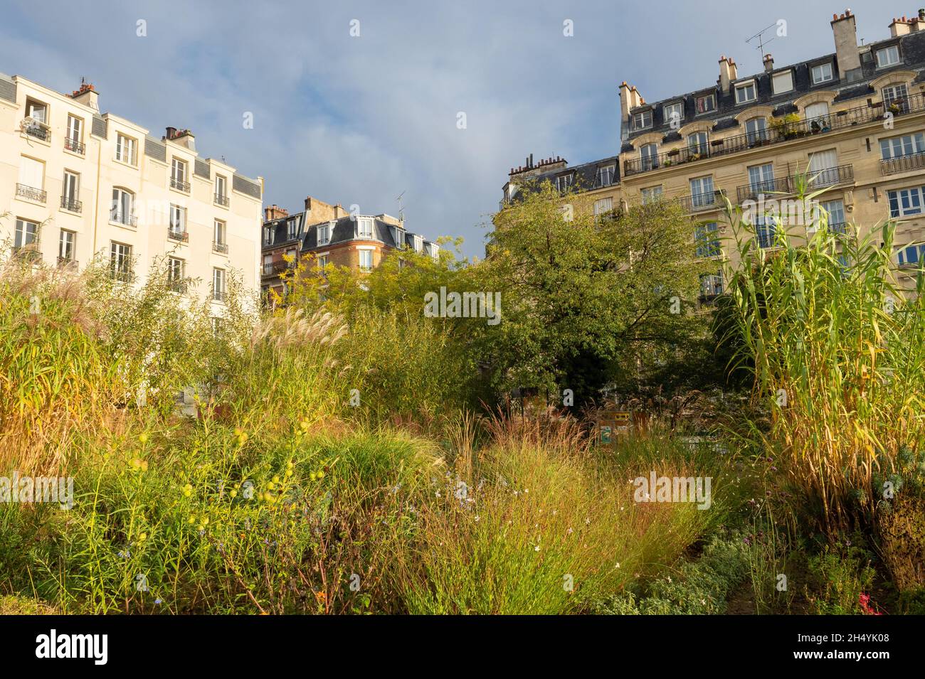 Paris, France - 3 novembre 2019 : vert urbain et nature sauvage sur la place du Docteur Grancher Banque D'Images