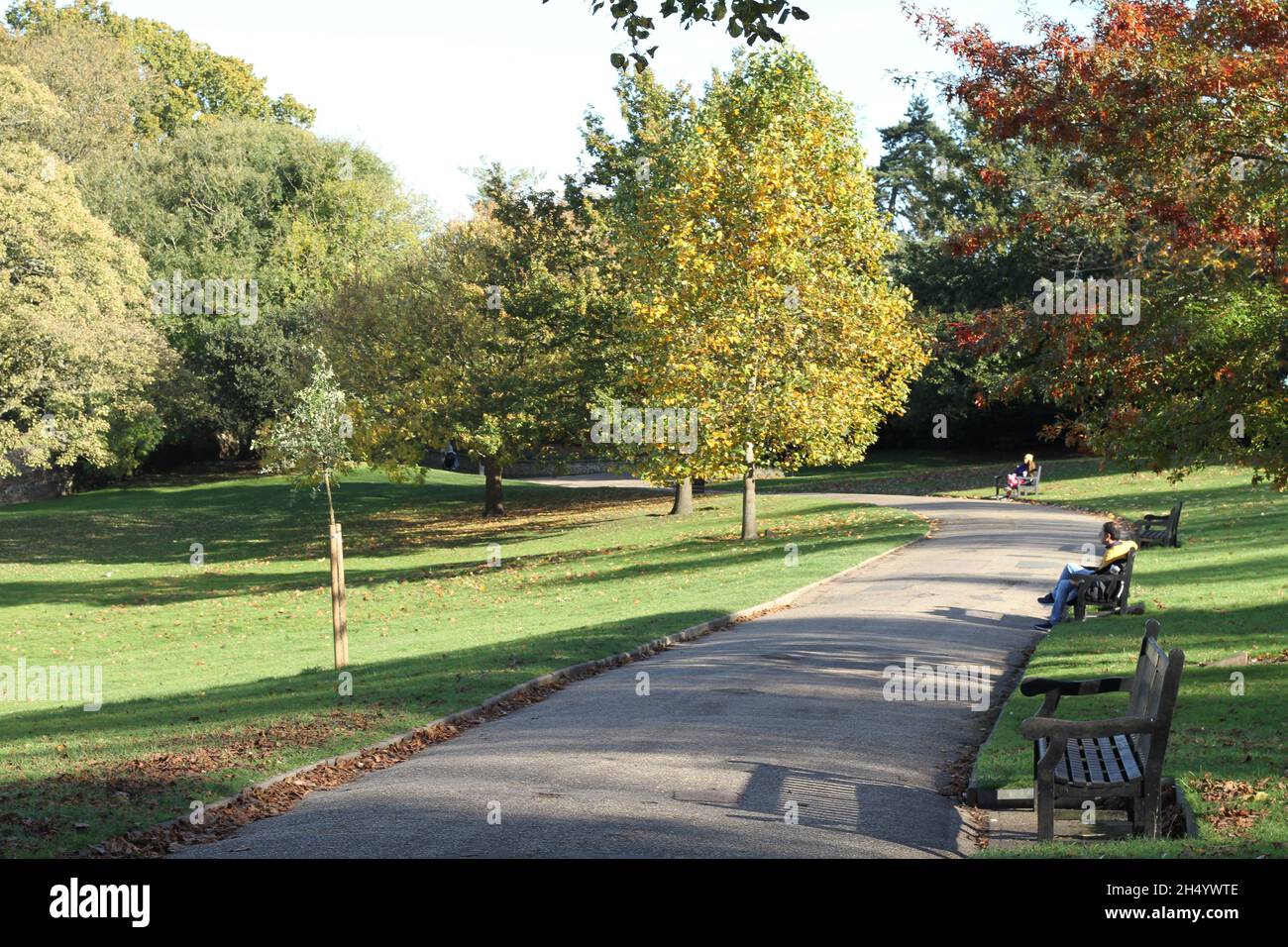 Colchester, Royaume-Uni. 05th novembre 2021. Détendez-vous au soleil d'automne dans le parc du Château, Colchester, Essex. Crédit : Eastern Views/Alamy Live News Banque D'Images