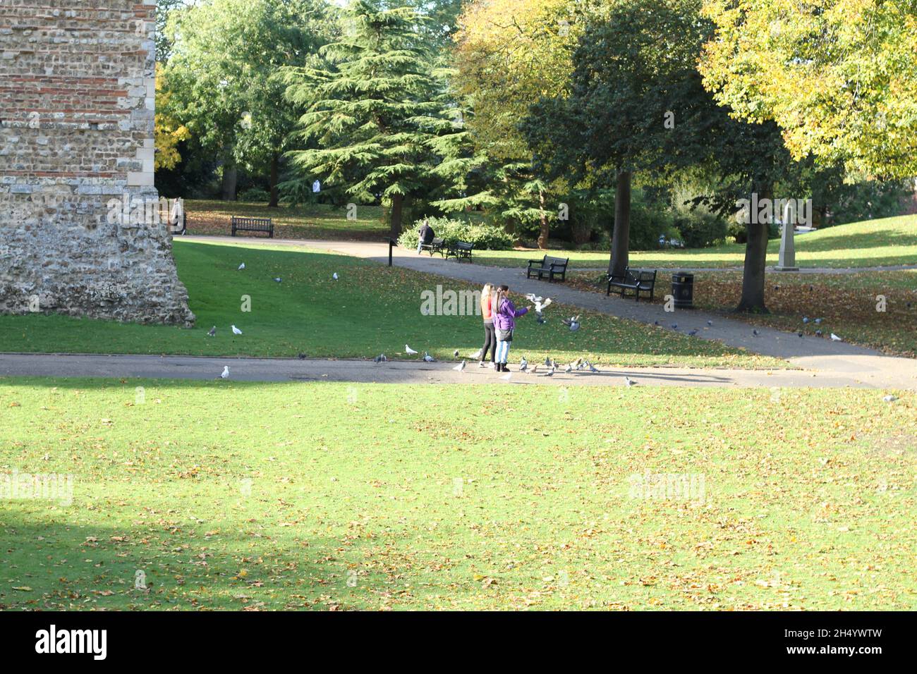 Colchester, Royaume-Uni. 05th novembre 2021. Nourrir les oiseaux lors d'une journée d'automne ensoleillée à Castle Park, Colchester. Crédit : Eastern Views/Alamy Live News Banque D'Images