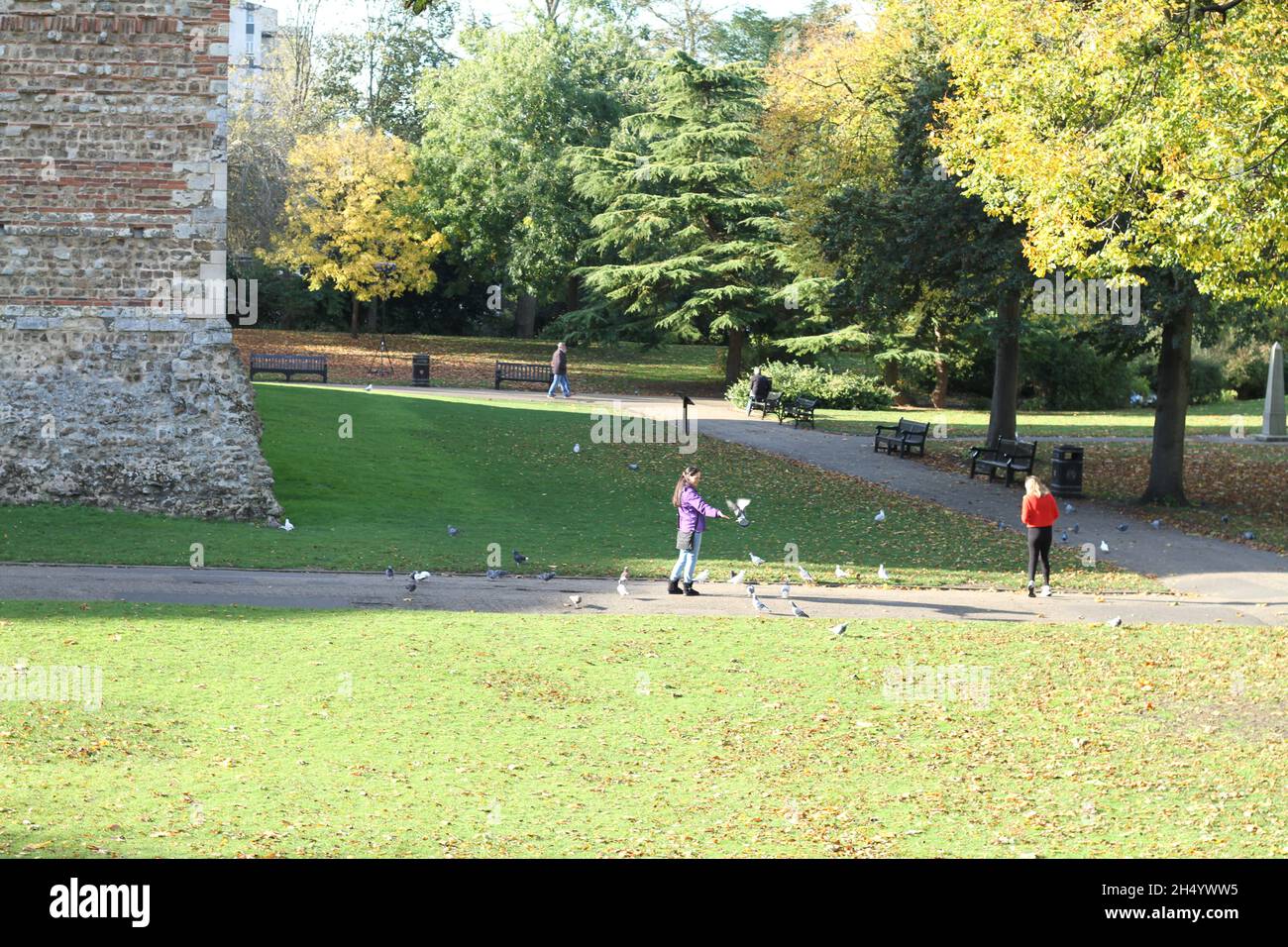 Colchester, Royaume-Uni. 05th novembre 2021. Nourrir les oiseaux lors d'une journée d'automne ensoleillée à Castle Park, Colchester. Crédit : Eastern Views/Alamy Live News Banque D'Images