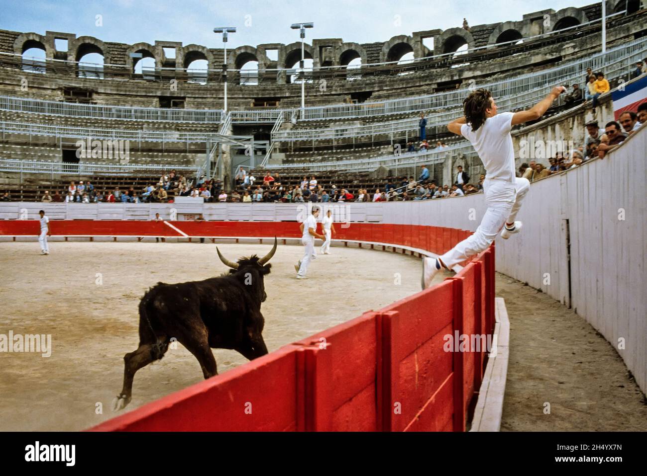 FRANCE.BOUCHES DU RHÔNE (13) COURSE DE COCARDE À L'ARLES ARENA. Banque D'Images