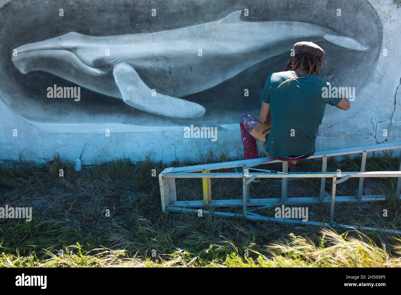 Vue arrière de l'artiste indépendant masculin assis sur l'échelle faisant une belle peinture murale de baleine sur le mur Banque D'Images