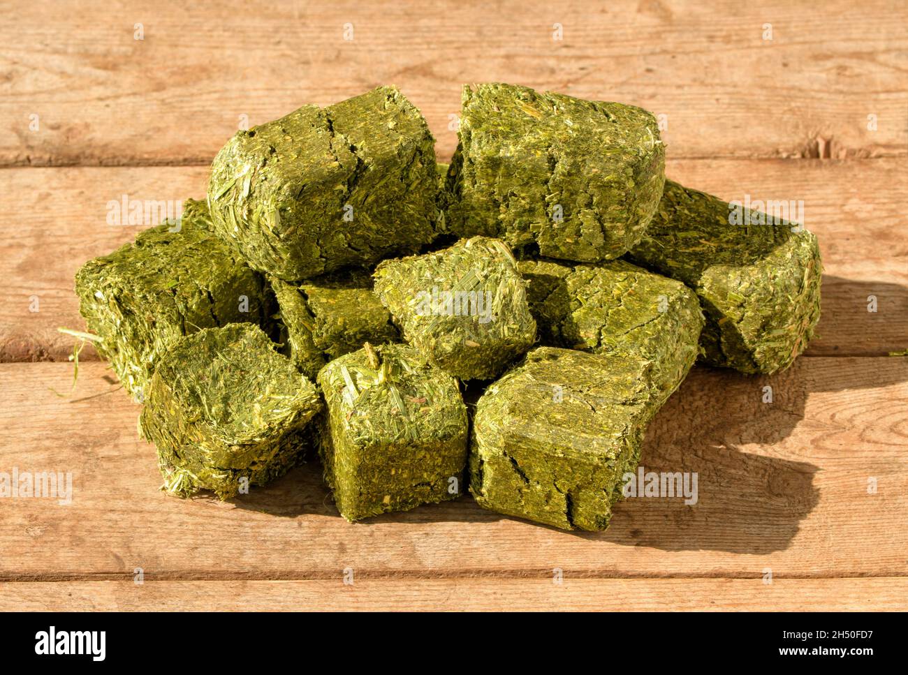 Cubes de luzerne-fléole sur une table rustique en bois.Ces cubes peuvent être alimentés aux chevaux en plus ou au lieu d'un fourrage normal tel que l'herbe ou le foin. Banque D'Images