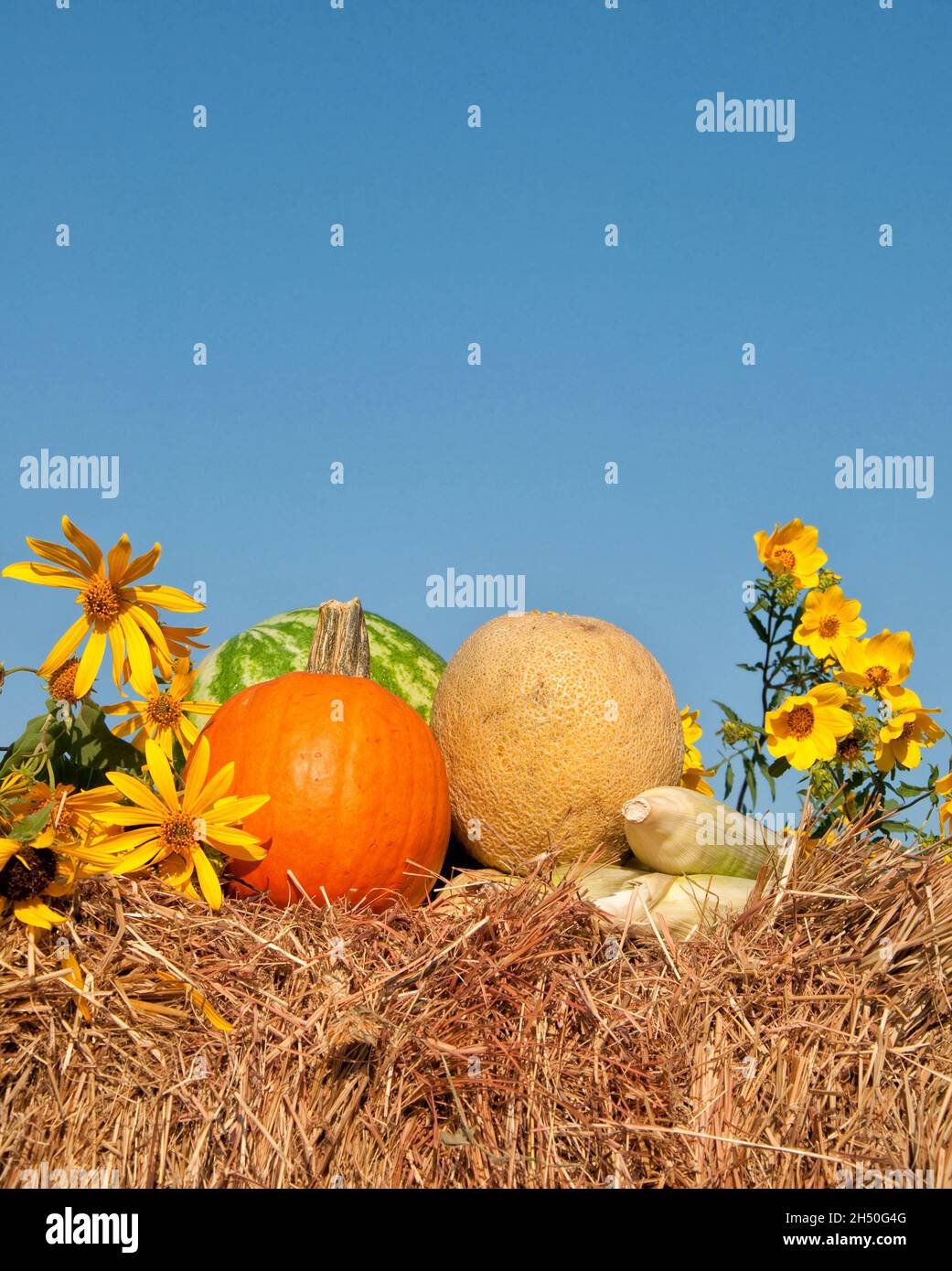 Image verticale de produits frais du jardin et de fleurs sauvages sur un haybale contre ciel bleu clair, avec espace de copie Banque D'Images