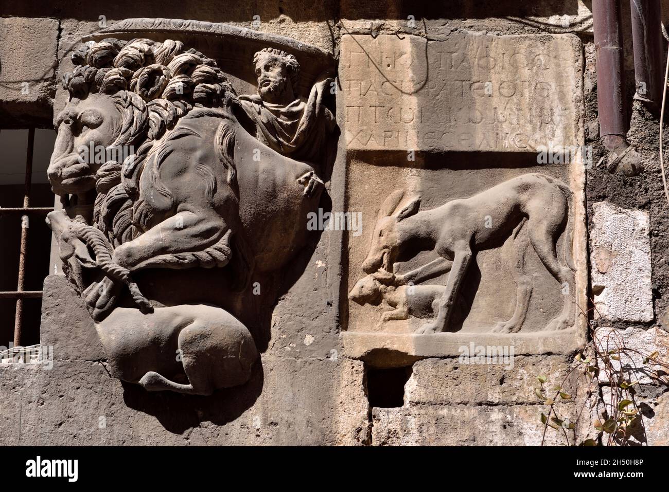 Italie, Rome, Ghetto juif, via del Portico d'Ottavia, maison de Lorenzo Manilio, fragment de sarcophage romain avec lion et bas relief avec cerf Banque D'Images