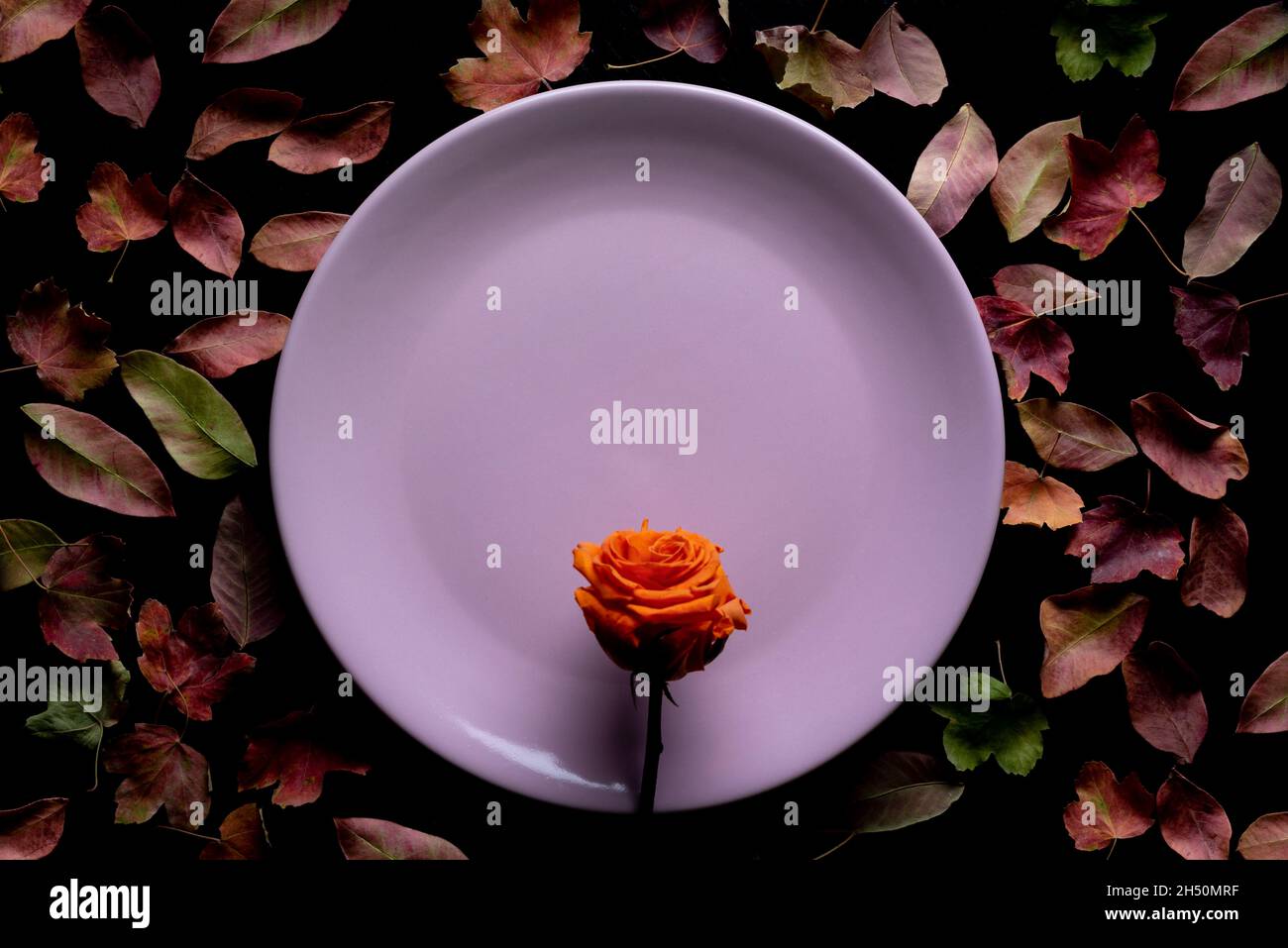 Assiette rose avec une fleur d'orange au centre, bordée de feuilles d'automne sèches. Banque D'Images