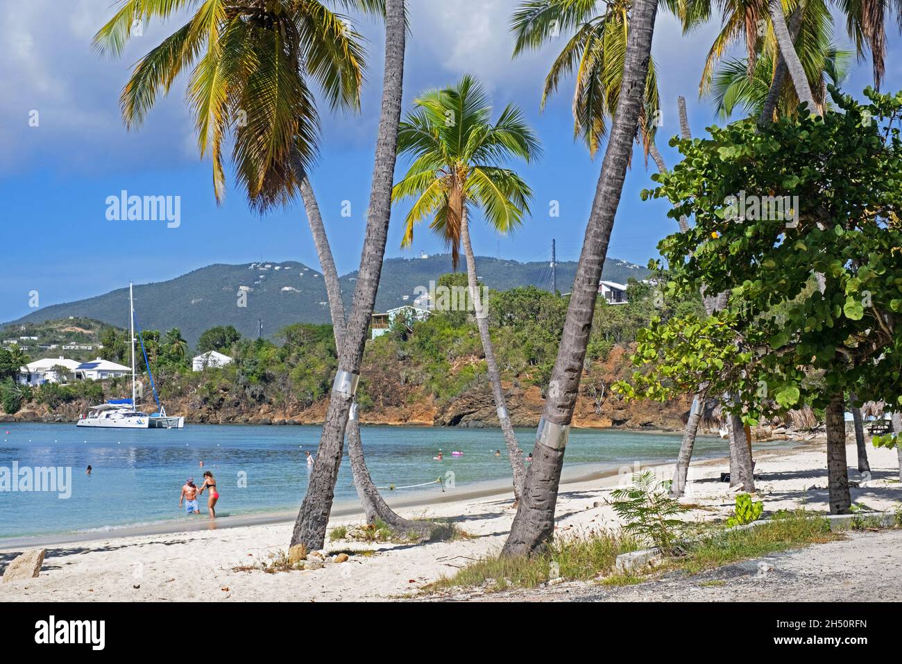 Touristes sur une plage de sable blanc avec des palmiers le long de la baie de Druif à Water Island, au sud de Saint Thomas, îles Vierges américaines dans la mer des Caraïbes Banque D'Images