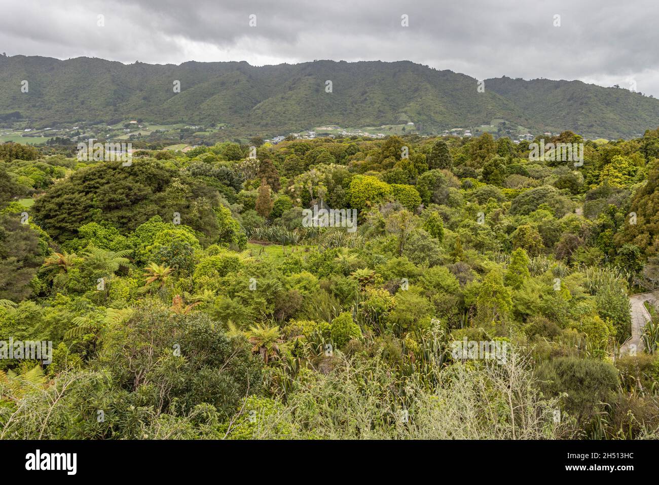 Vue sur la réserve naturelle de Nga Manu Banque D'Images