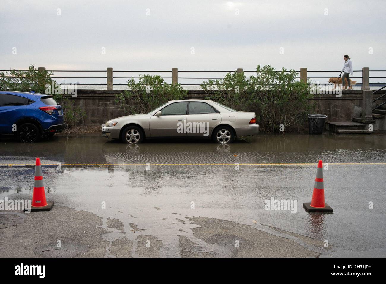 Charleston, États-Unis.05ème novembre 2021.Un chien marcheur marche le long de la batterie tandis que l'eau inonde des portions d'East Bay Street.Certaines parties du centre-ville de Charleston ont subi un deuxième jour d'inondation.La combinaison d'un système de tempête en mer et d'une marée montante inhabituellement élevée a entraîné plusieurs fermetures de routes dans toute la région.La ville pèse les coûts de mise en place d'un nouveau mur de mer pour lutter contre le problème croissant des inondations.(Photo par Kit MacAvoy/SOPA Images/Sipa USA) crédit: SIPA USA/Alay Live News Banque D'Images