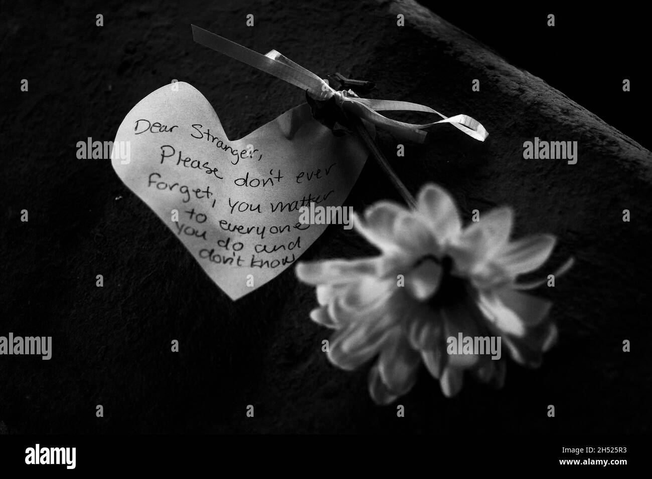 Photo en niveaux de gris d'une note sincère à un étranger attaché à une fleur avec un ruban Banque D'Images