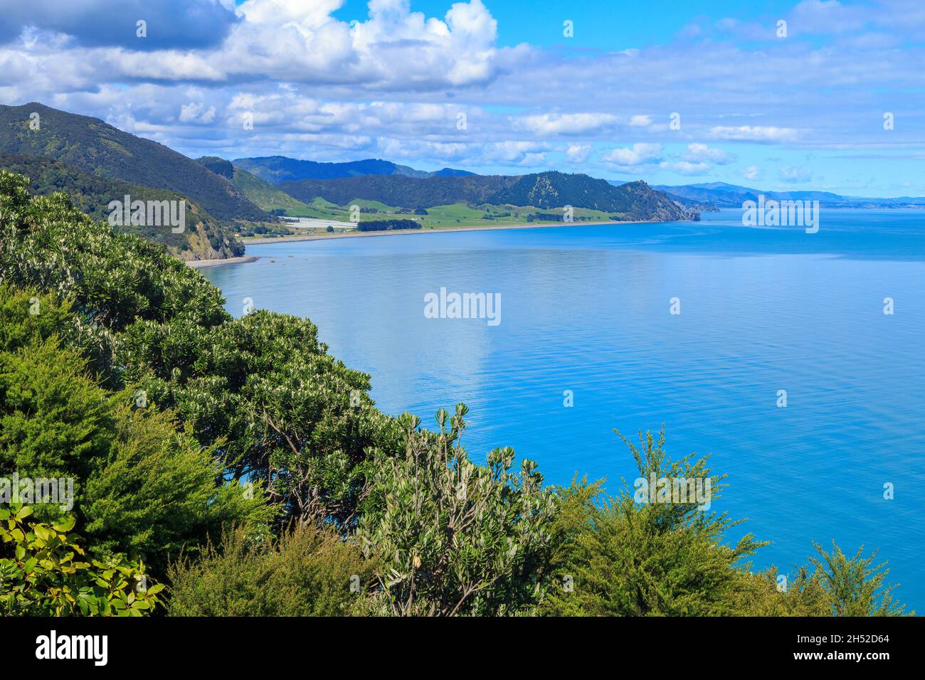 Vue sur Hawai Bay, une région pittoresque de l'est de la baie de Plenty, Nouvelle-Zélande Banque D'Images