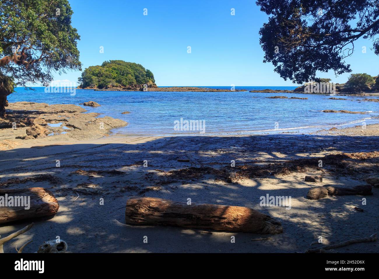 Une plage ombragée par des arbres pohutukawa à Little Awanui dans la baie orientale de Plenty, en Nouvelle-Zélande.Juste au large se trouve l'île boisée de Motunui Banque D'Images