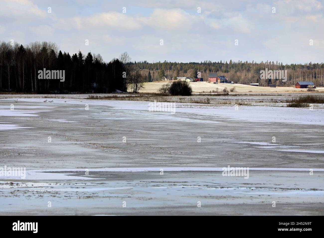 Eaux de crue congelées sur le champ cultivé au printemps.L'eau gelée sur les champs peut endommager les récoltes.Sud de la Finlande, mars 2020. Banque D'Images