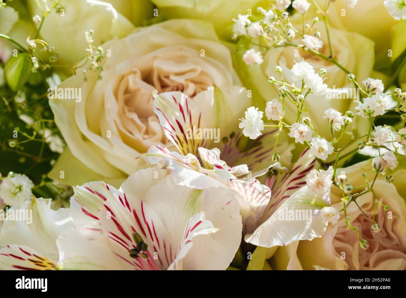 Bouquet de fleurs de rose et alstroemeria gros plan. Banque D'Images