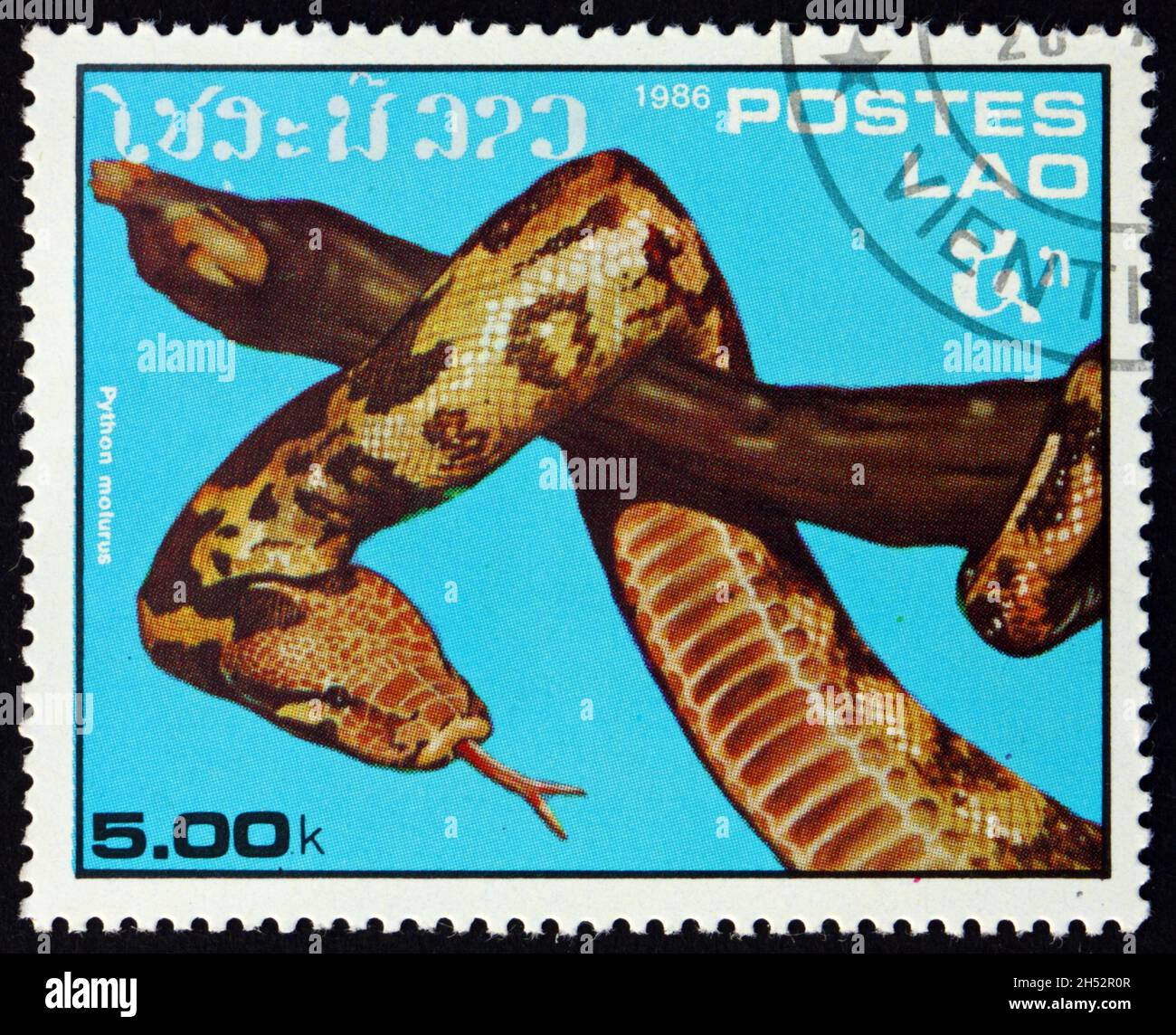 LAOS - VERS 1986: Un timbre imprimé au Laos montre le python indien, le python molurus, est une grande espèce de python non venomous indigène à tropical et subtrop Banque D'Images