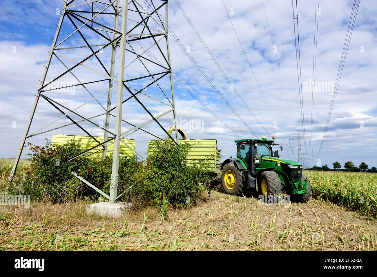 Terres agricoles Allemagne agriculture paysage pays champ maïs maïs Banque D'Images