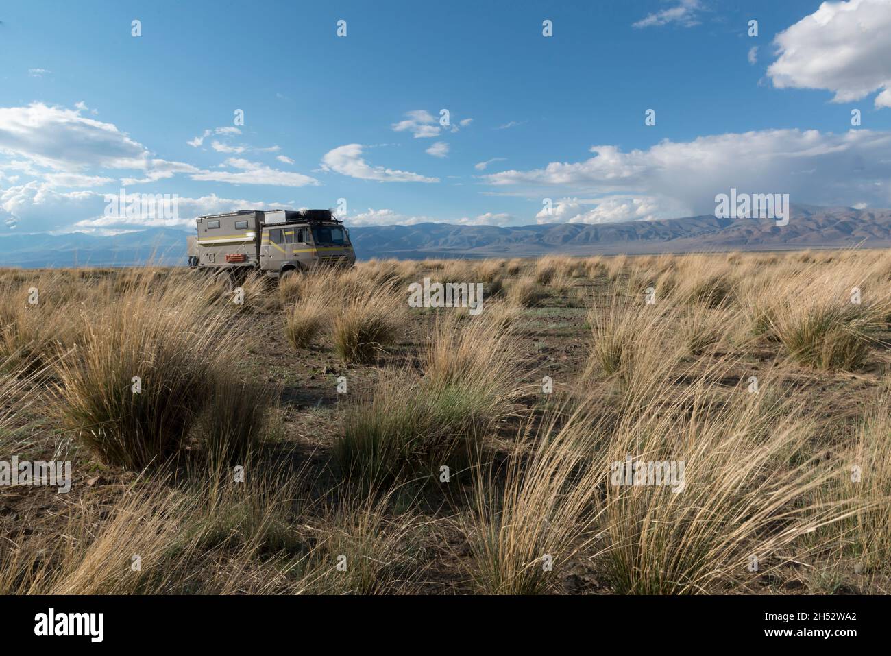 Camion de camping (overlander) sur la steppe avec du pollen d'herbe jaune juste à l'extérieur de Kosh-Abach, en République d'Altaï, Russie. Banque D'Images