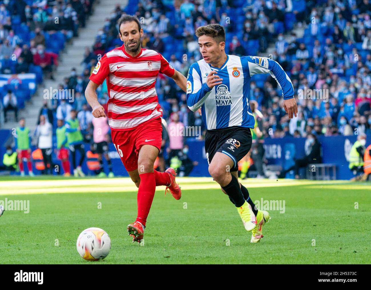 Barcelone, Espagne.06e novembre 2021.ESPAGNE-FOOTBALL-LA LIGA SANTANDER-RCD ESPANYOL VS GRENADE CF.La Liga Santander match entre le RCD Espanyol et Grenade CF au stade RCD, el Prat, Espagne, le 6 novembre 2021.© Joan Gosa 2021 crédit : Joan Gosa Badia/Alay Live News Banque D'Images