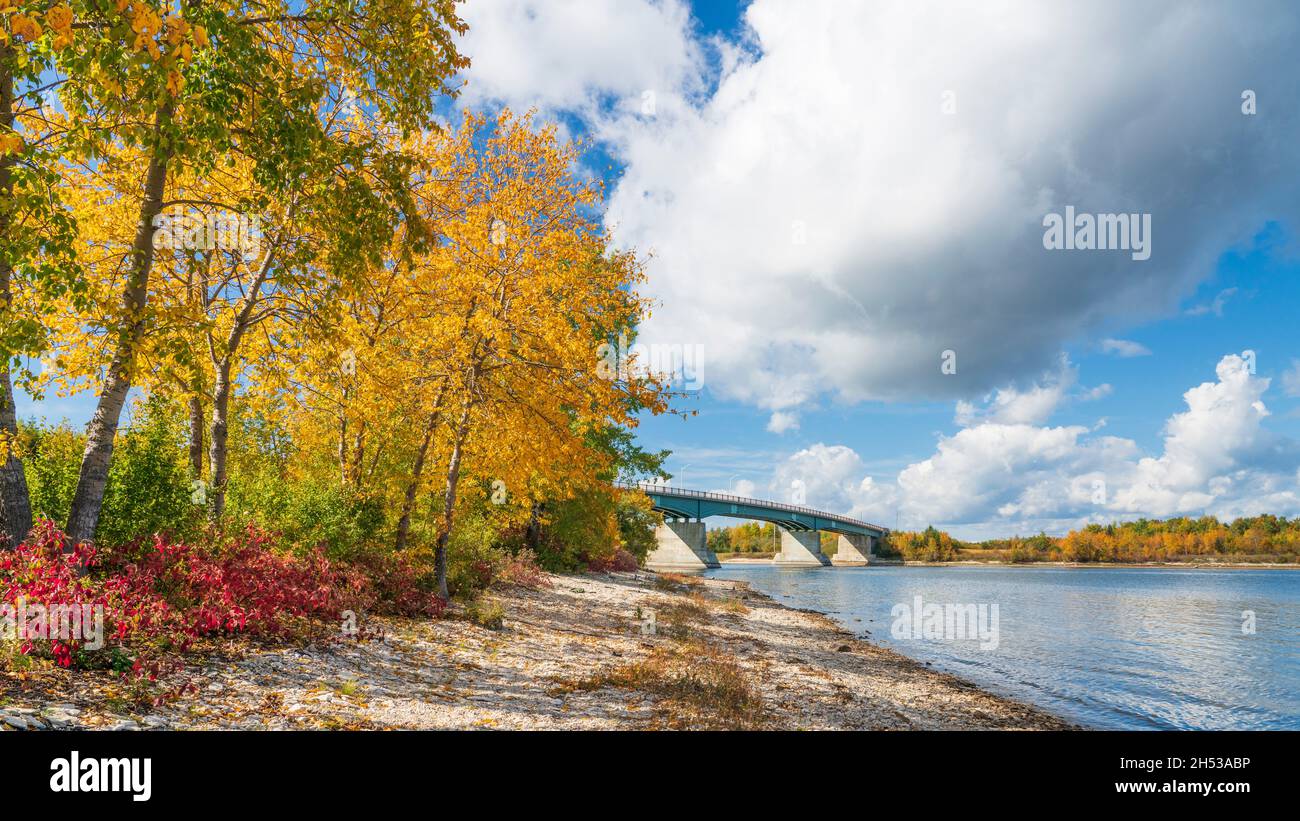 Couleur du feuillage d'automne à Grand Rapids, Manitoba.Canada. Banque D'Images