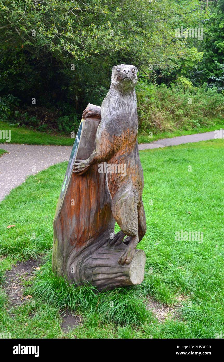 Sculpture de loutre sculptée sur la pelouse du Clare Castle Country Park,  Suffolk, Royaume-Uni Photo Stock - Alamy
