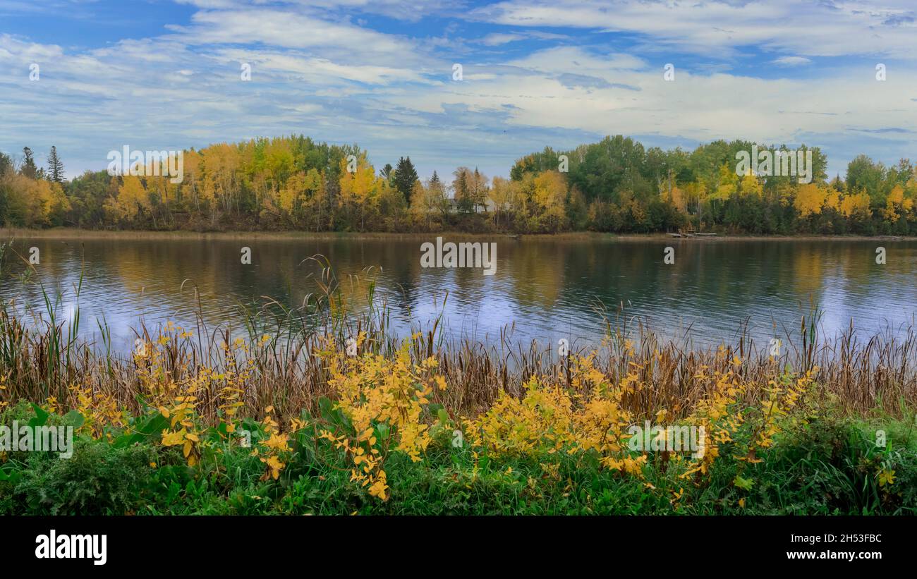Couleur du feuillage d'automne le long de la rivière Rainy, rivière Rainy, Ontario, Canada. Banque D'Images