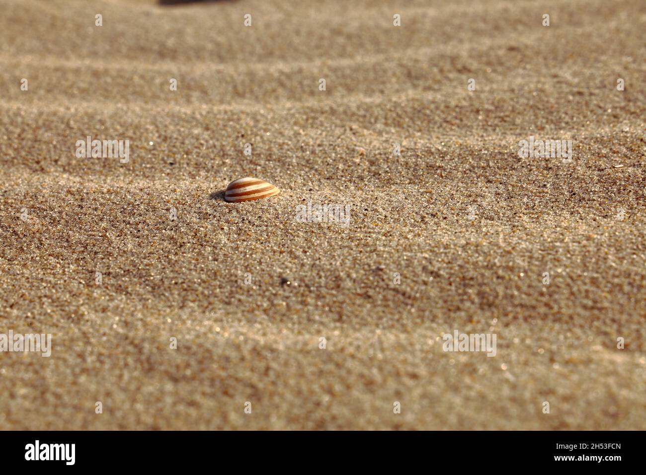 L'enfer marin ind the Sand Banque D'Images