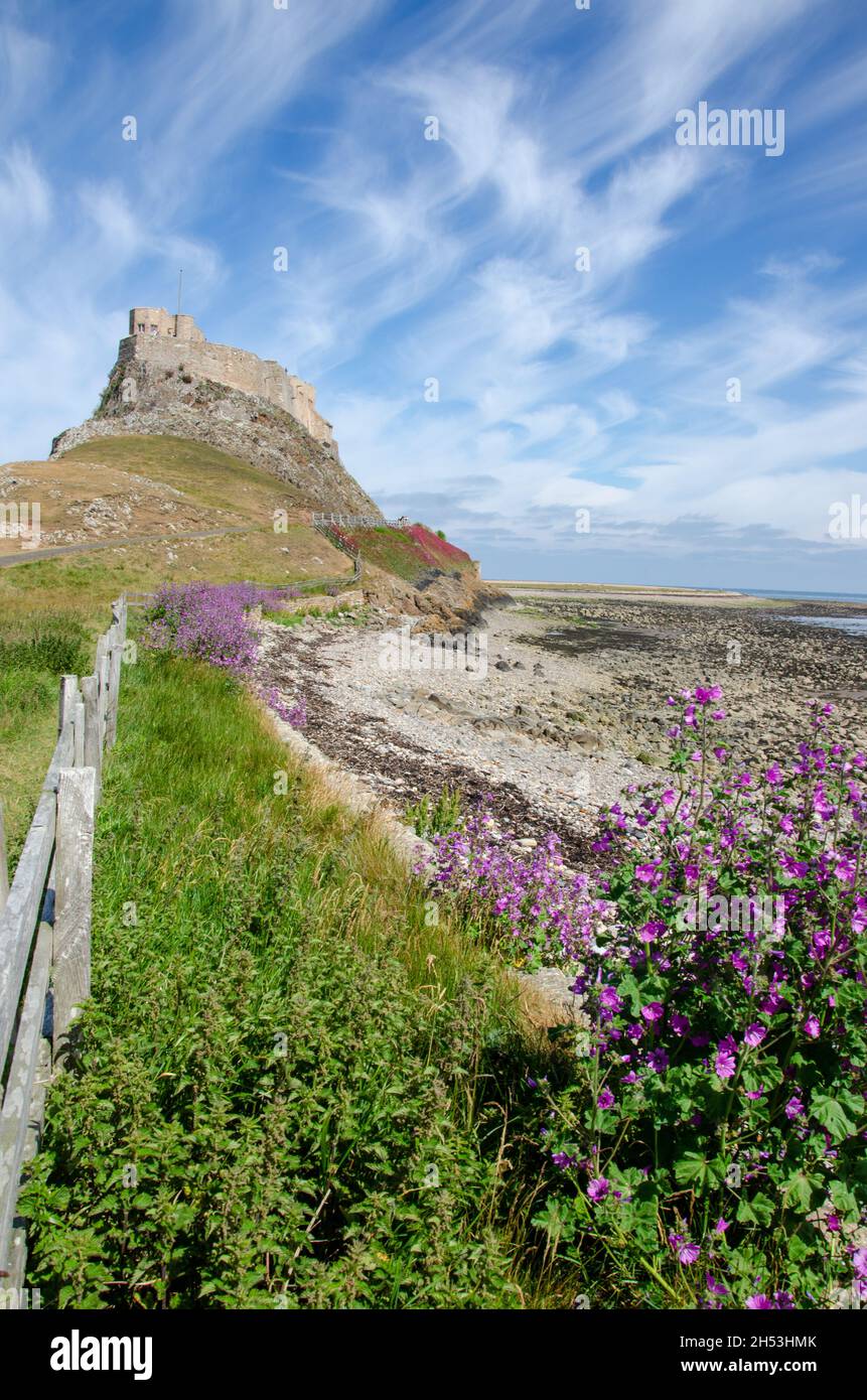 Château de Lindisfarne sur l'île Sainte, au large de la côte de Northumberland, dans le nord-est de l'Angleterre, au Royaume-Uni. Banque D'Images