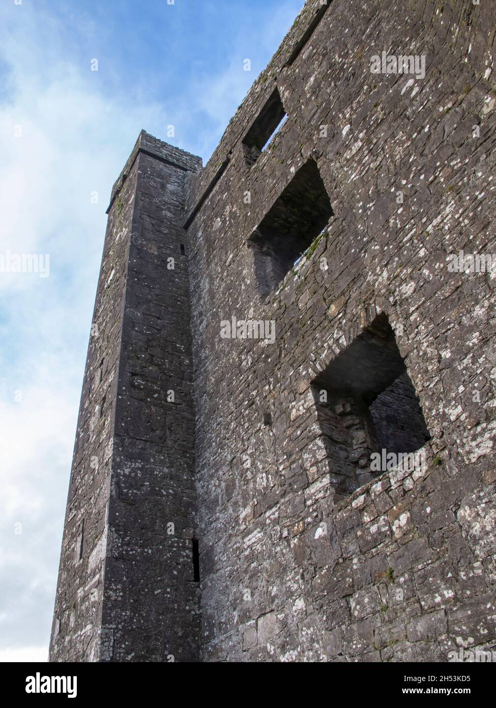 Abbaye de Bective dans le comté de Meath Irlande Banque D'Images