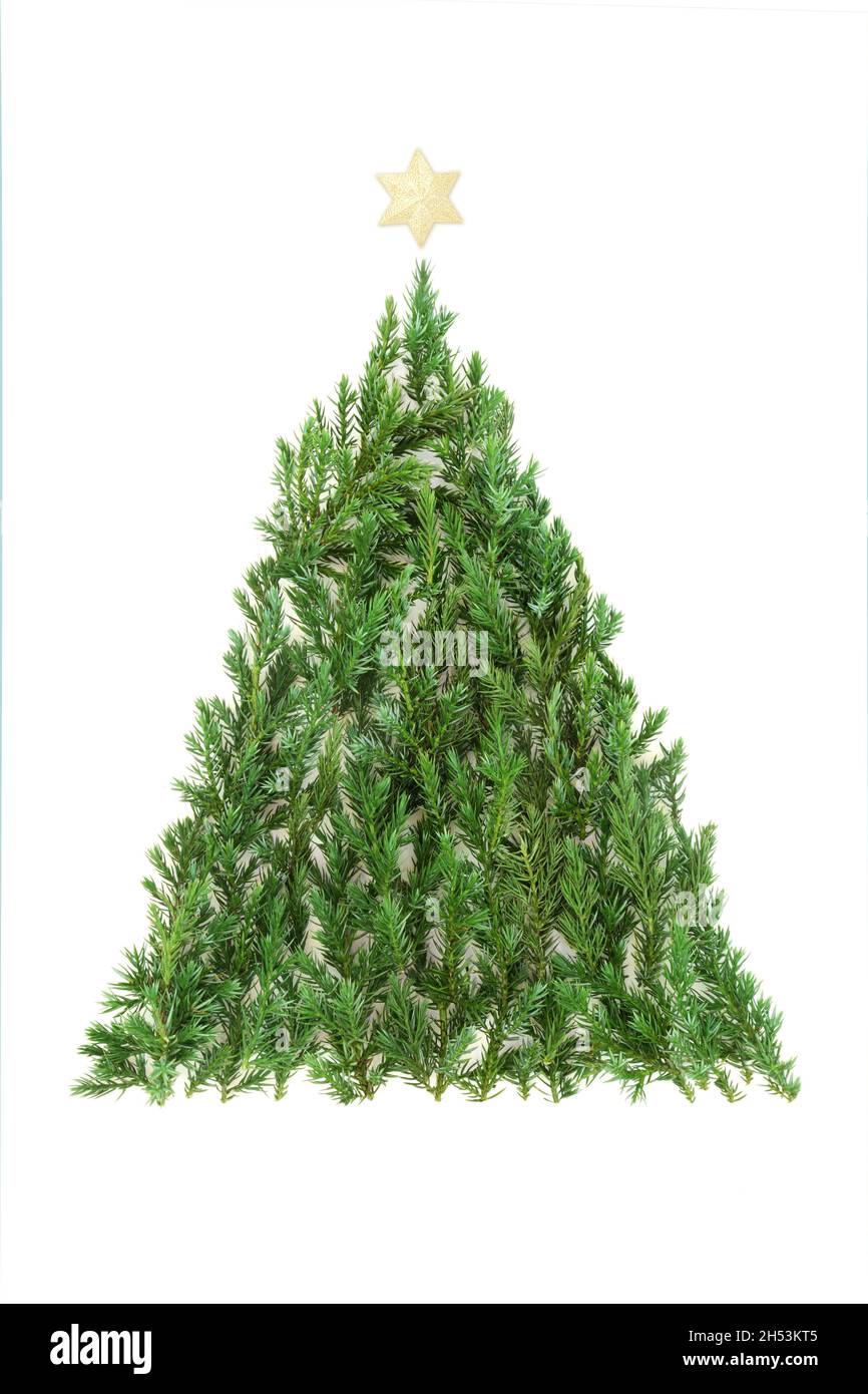 Sapin vert de Noël avec étoile dorée.Symbole écologique isolé sur fond blanc.Flat lay, vue de dessus, espace de copie. Banque D'Images Sapin vert de Noël avec étoile dorée.Symbole écologique isolé sur fond blanc.Flat lay, vue de dessus, espace de copie. Banque D'Images