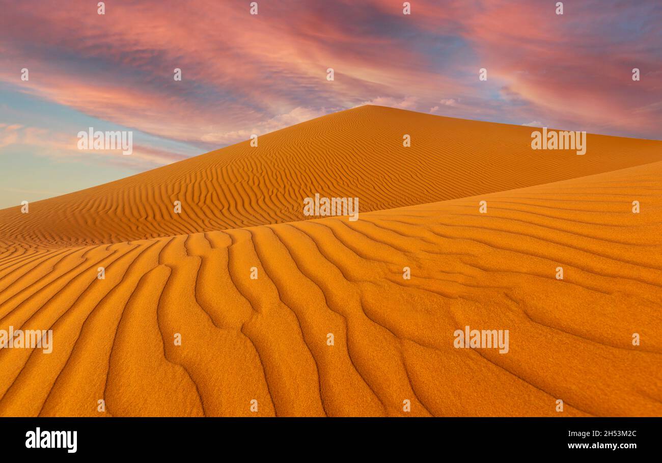 Dunes de sable de Wahiba en Oman Banque D'Images