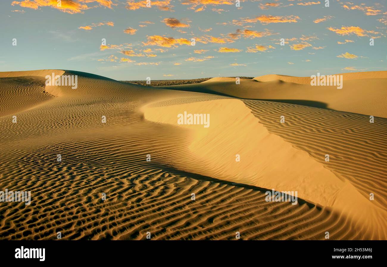 Dunes de sable dans le désert arabe Banque D'Images