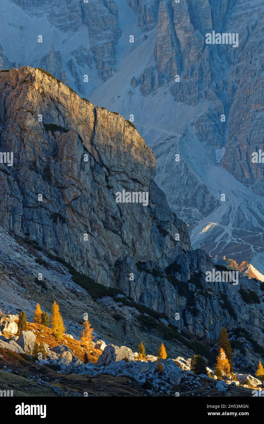 Le soleil s'élève sur les larches colorées sous les falaises des Dolomites Banque D'Images