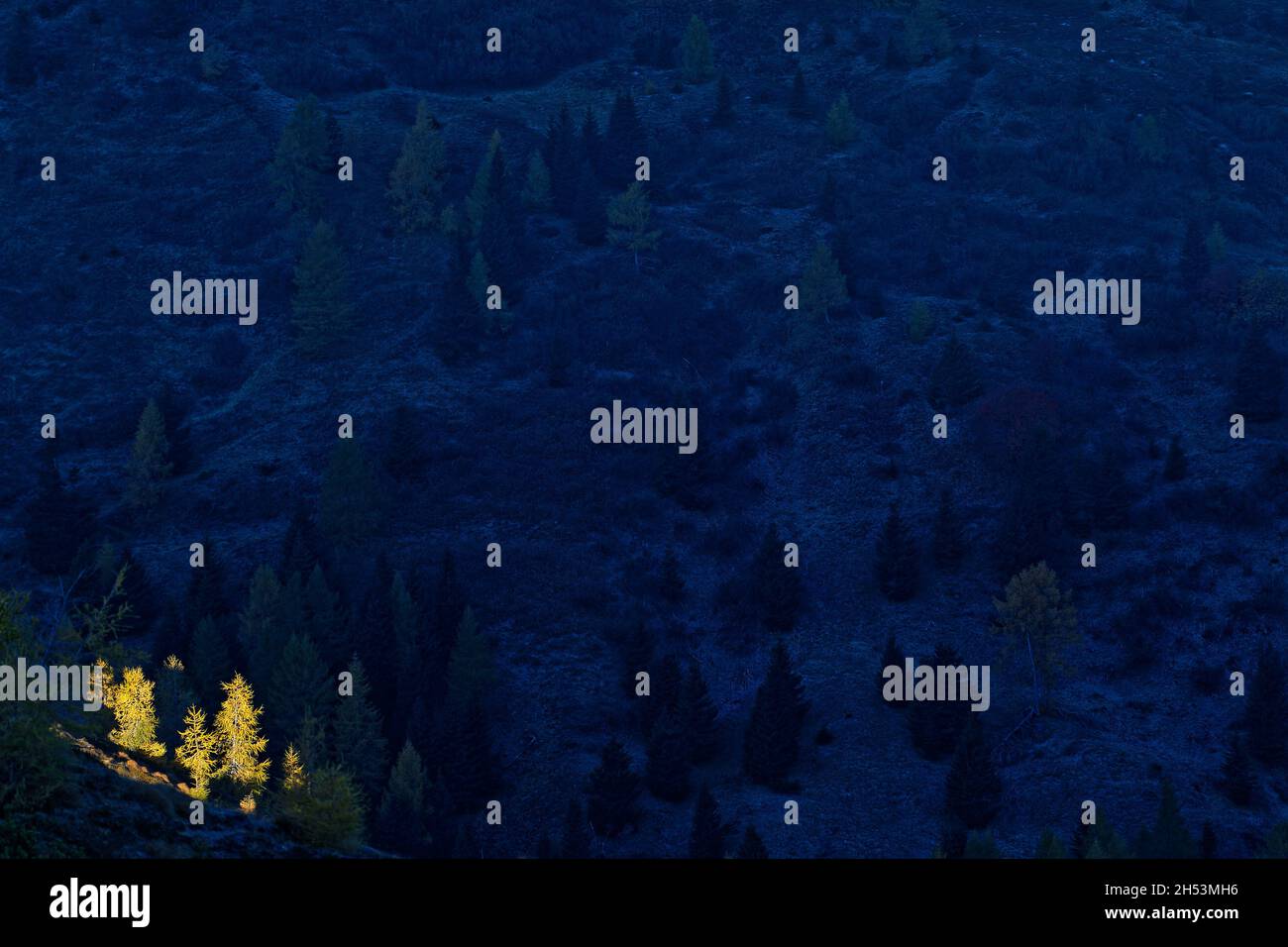 Le soleil s'élève au sommet des larches dans un paysage sombre des Dolomites Banque D'Images